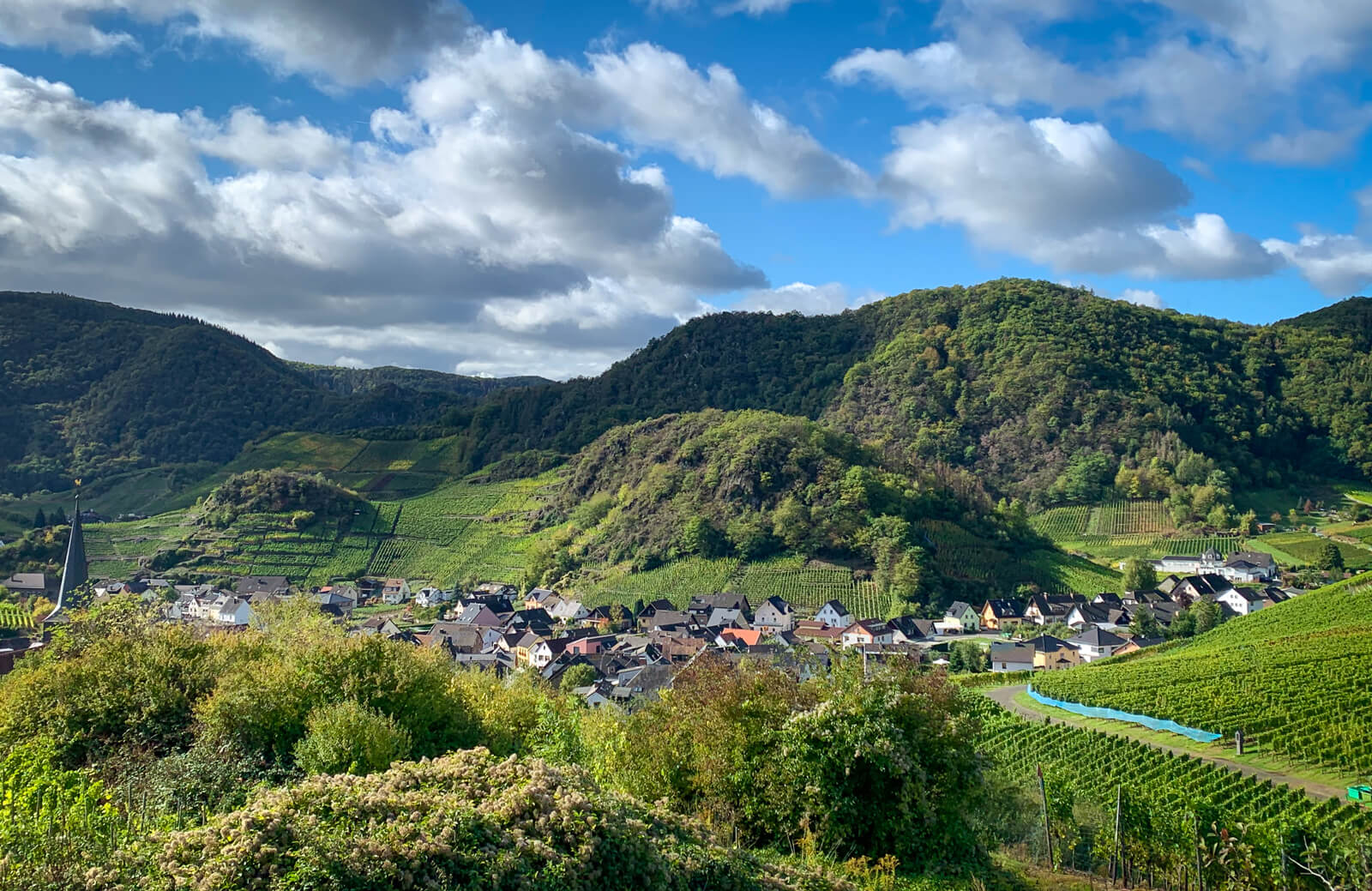 Looking over the village of MayschoĂ (Mayschoss) in Western Ahr.