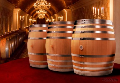 wine-barrels-in-fancy-wine-cellar-oaking-wine wine-barrels-in-fancy-wine-cellar-oaking-wine